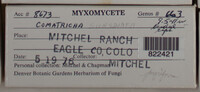 Image Associated With the Occurence